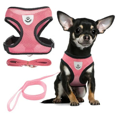 Pet Harness